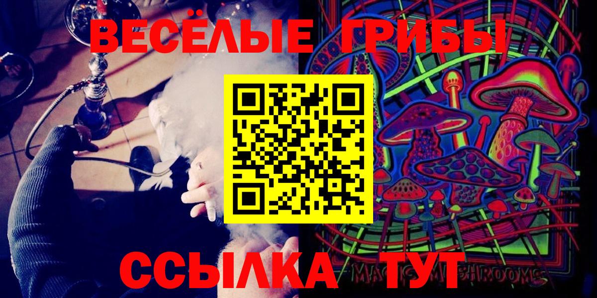 Черняховск  сколько стоит  Вход с VPN  Псилоцибиновые грибы мухоморы 